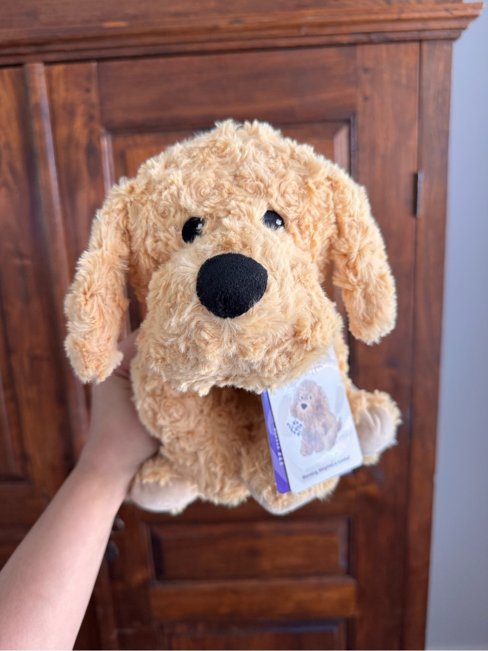Warmies Golden Dog New